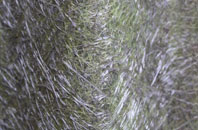 Ord Mill fibreglass roof work